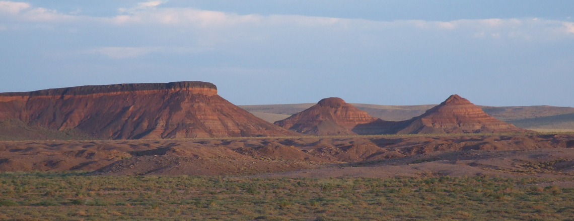 Өөш шахалга 